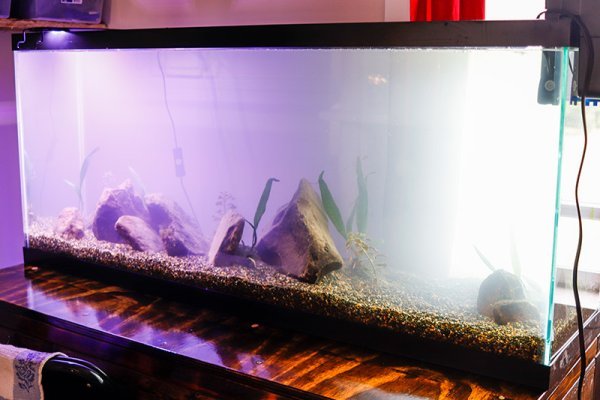 setting-up-55-gallon-fish-tank.jpg