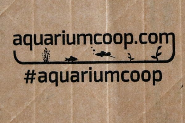 aquarium-co-op-packing-tape.jpg