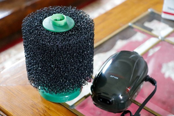 sponge-filter-air-pump.jpg