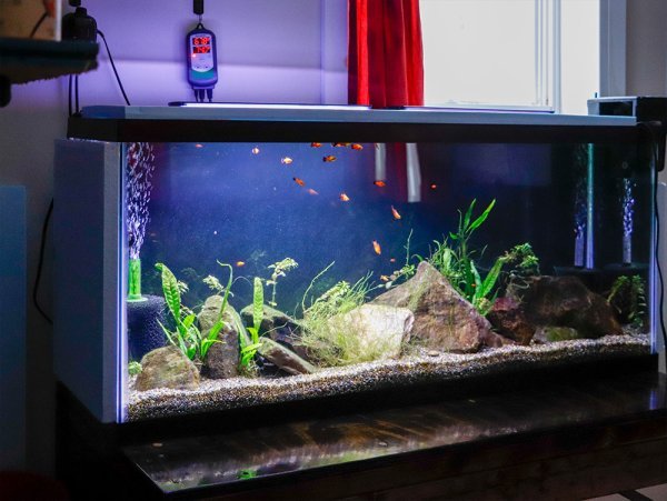 insulated-fish-tank.jpg