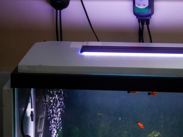 foam-fish-tank-lid.jpg