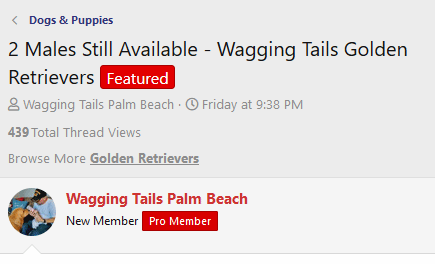 featured-thread-listing.gif featured-thread-listing.gif