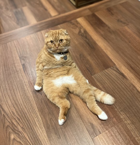 Charlie.jpg
