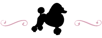 logo2.png
