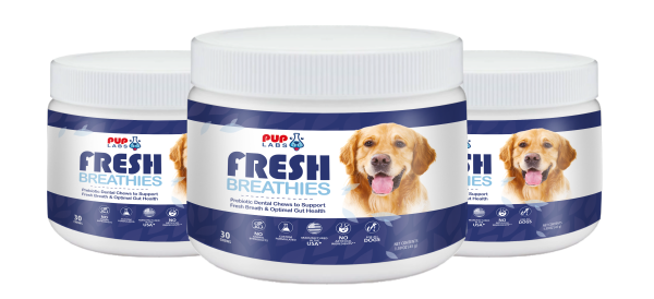 FreshBreathies_3.png FreshBreathies_3.png