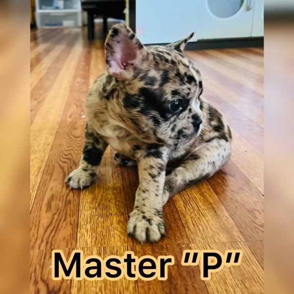 photo-output.jpeg