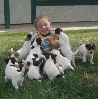 Laneandpuppies.jpg Laneandpuppies.jpg