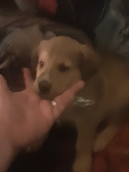 20230901_211808.jpg