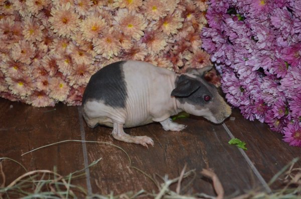 DSC_0074.JPG