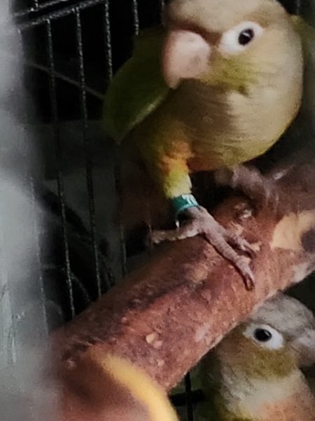 20231001_105618.jpg
