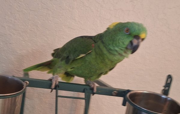 oliver 1.jpg