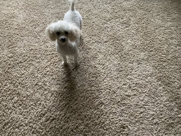 IMG_2999.jpeg