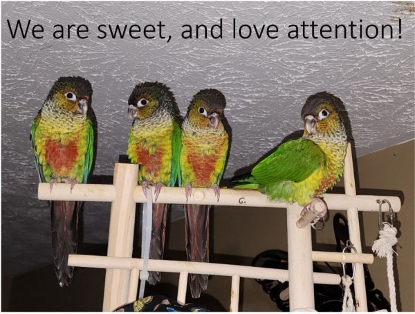 slide02.JPG slide02.JPG