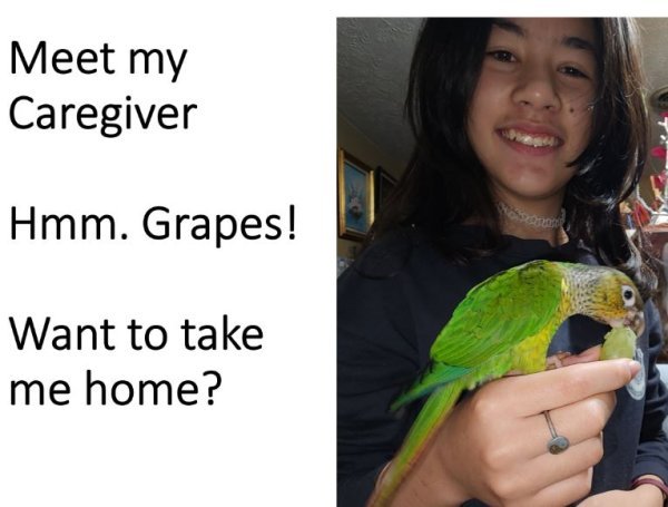 slide03.JPG slide03.JPG