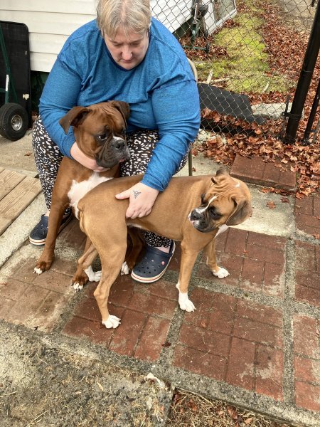 pups1.jpg pups1.jpg