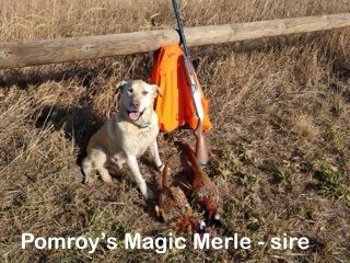 IMG_20201.jpeg