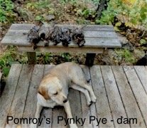 IMG_1030.jpeg