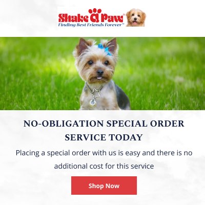 Shake A Paw-Graphics 400x400.jpg