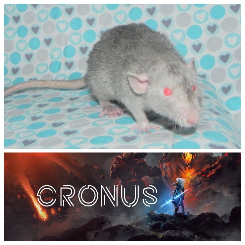 cronus2.jpg