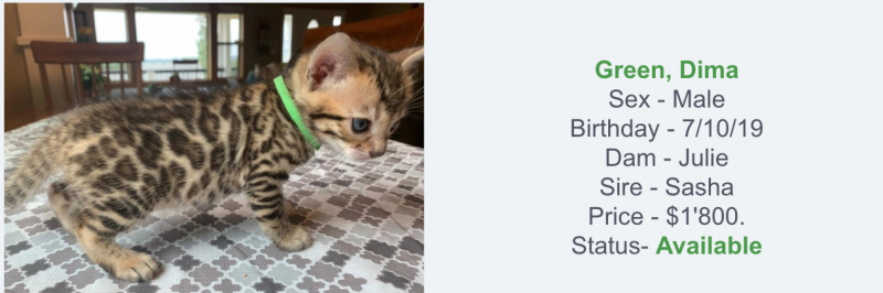 Screen Shot 2019-08-12 at 15.55.37.png