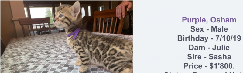 Screen Shot 2019-08-12 at 15.56.11.png
