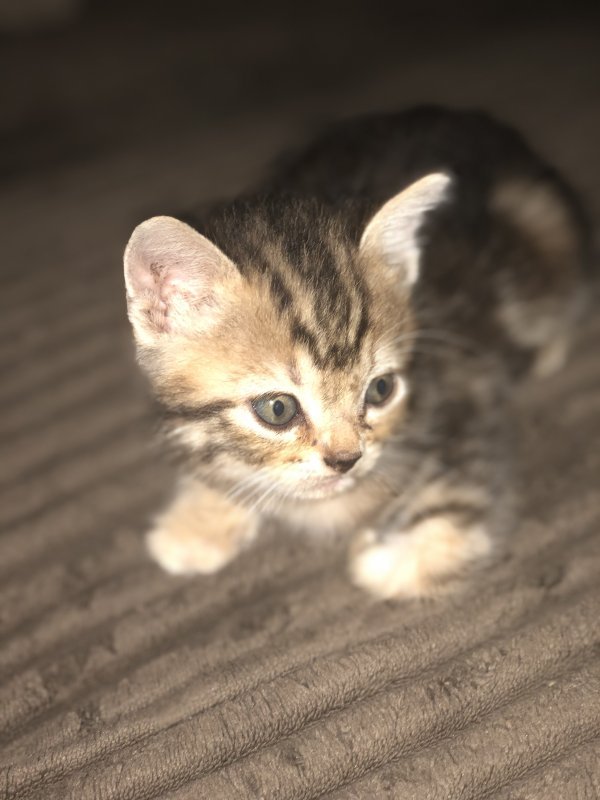5DF378BB-8F0C-4BDA-B974-B94E375BEF6D.jpeg