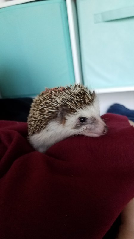 20190525_120514.jpg