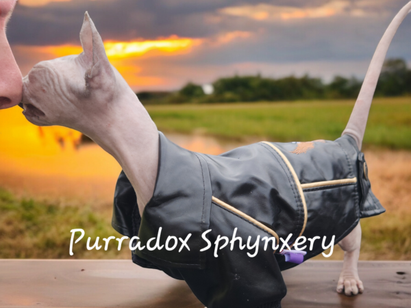Photoroom-20240602_110916.png Photoroom-20240602_110916.png