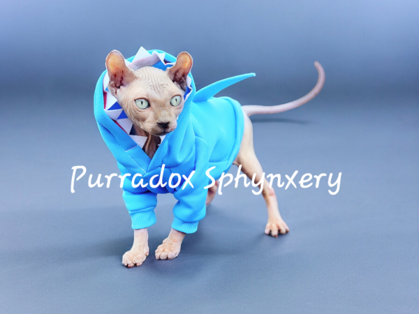 Photoroom-20240602_120535.png Photoroom-20240602_120535.png