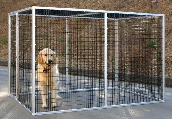pet cage.jpg pet cage.jpg