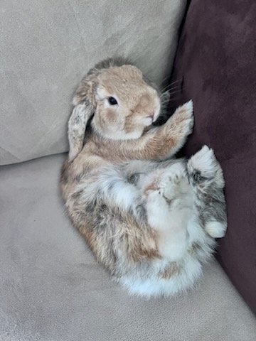Winston 3.jpg