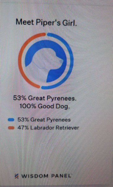 DNA.jpg