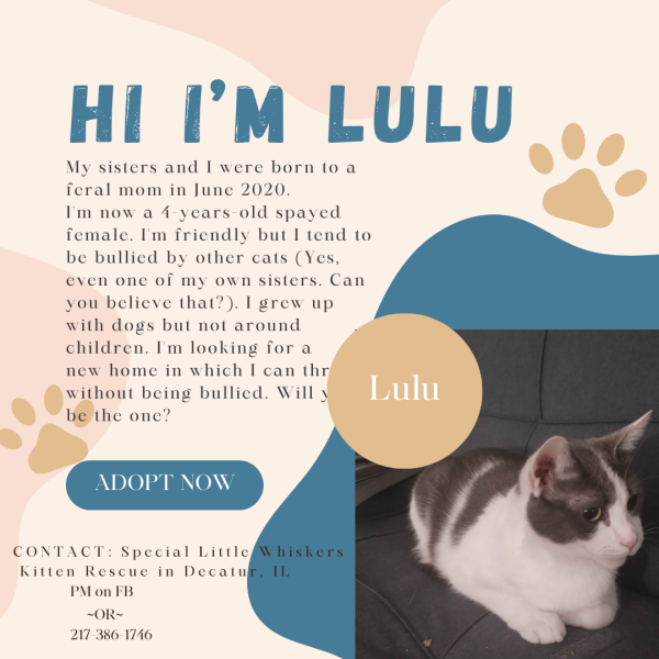 Lulu.png Lulu.png