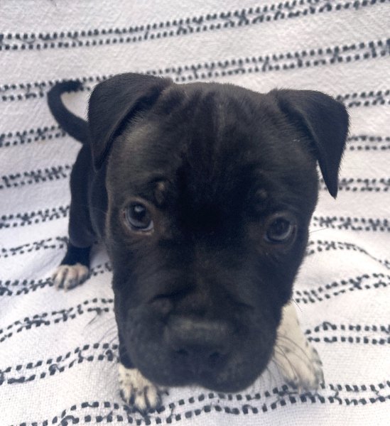 2)Honey-6wks.jpg