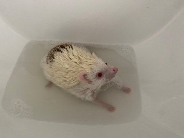IMG_3163.jpeg