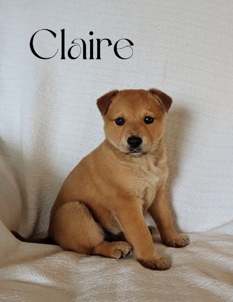 Claire (1).jpg