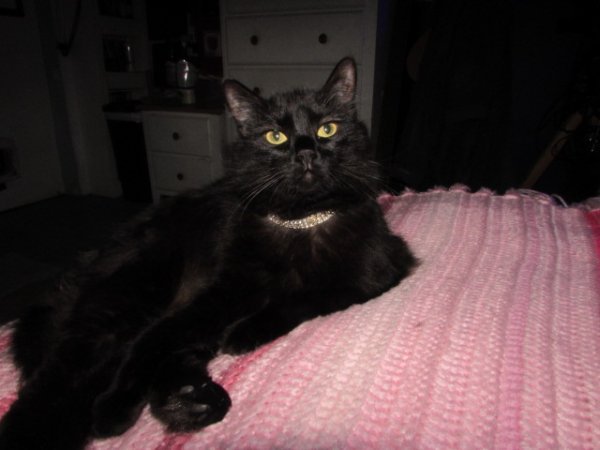 thumbnail_IMG_0805.jpg