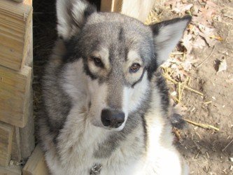 thumbnail_IMG_6184.jpg