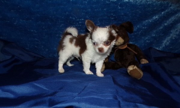 106_3072.JPG