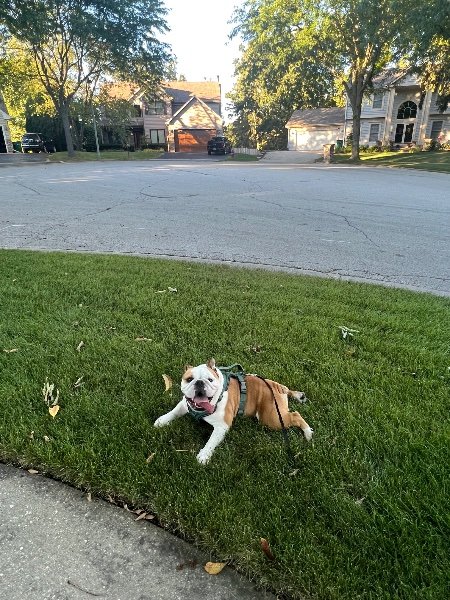 IMG_3112.jpeg IMG_3112.jpeg