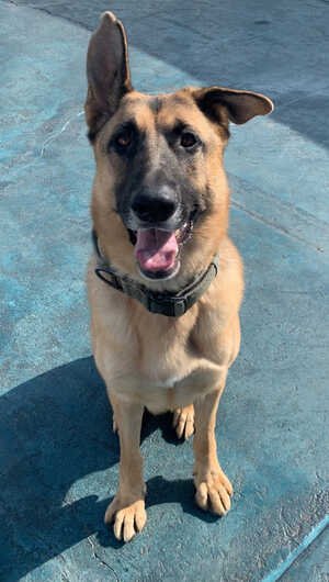 Polo-3.jpg Polo-3.jpg