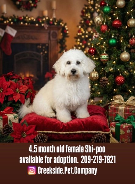 IMG_0993.jpeg IMG_0993.jpeg