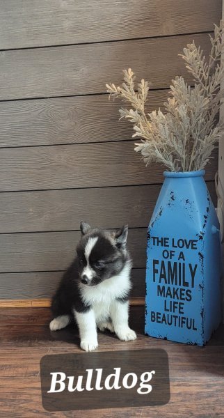 1000124503.jpg 1000124503.jpg