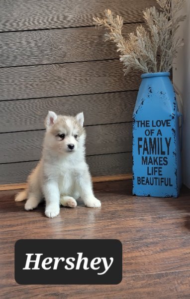 IMG-20251120-WA0015.jpg IMG-20251120-WA0015.jpg