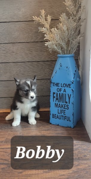 IMG-20251120-WA0016.jpg IMG-20251120-WA0016.jpg