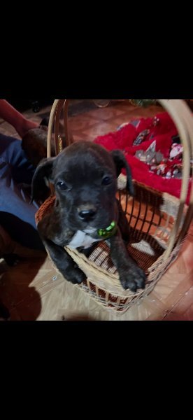 Screenshot_20251220_135839_Gallery.jpg Screenshot_20251220_135839_Gallery.jpg