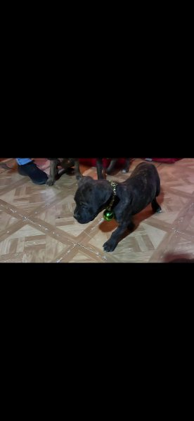 Screenshot_20251220_135821_Gallery.jpg Screenshot_20251220_135821_Gallery.jpg