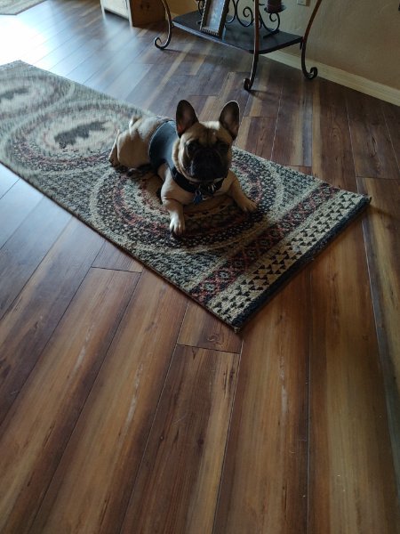 linus 2025.jpg linus 2025.jpg