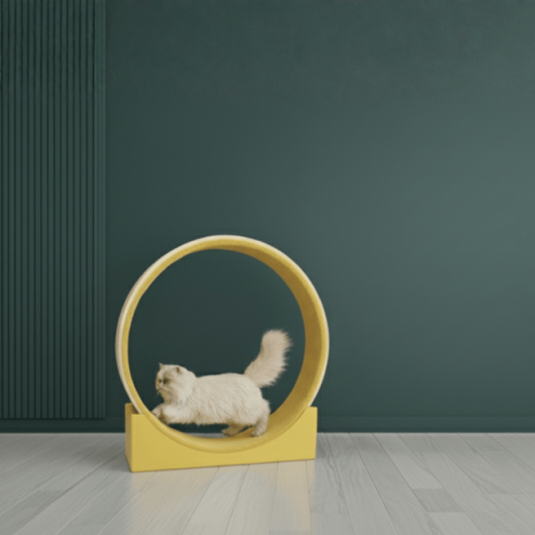 cat-wheel-for-indoor-cats2-1-720x720.png