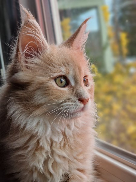 20260116_114458.jpg 20260116_114458.jpg